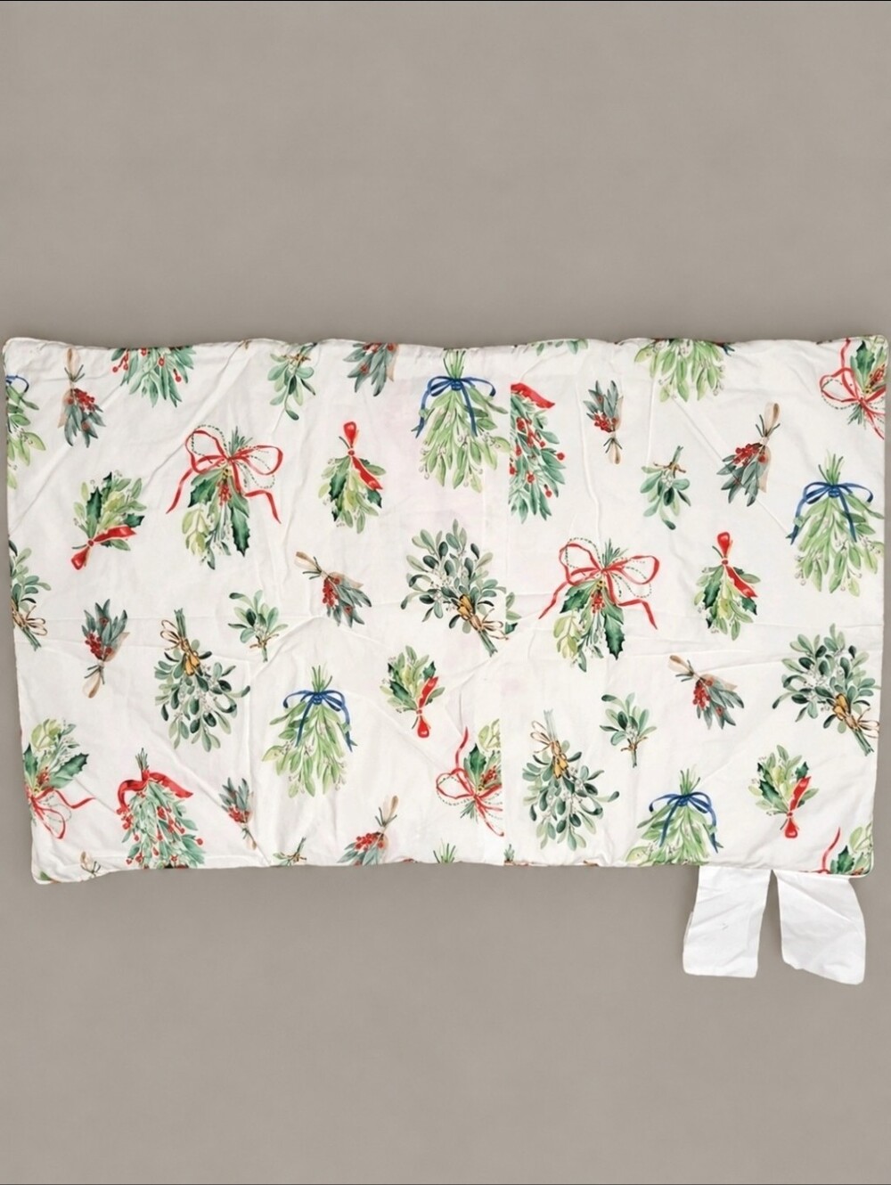 Pottery Barn Mistletoe King Sham Holiday 2021 Christmas Photo Sample 20x36